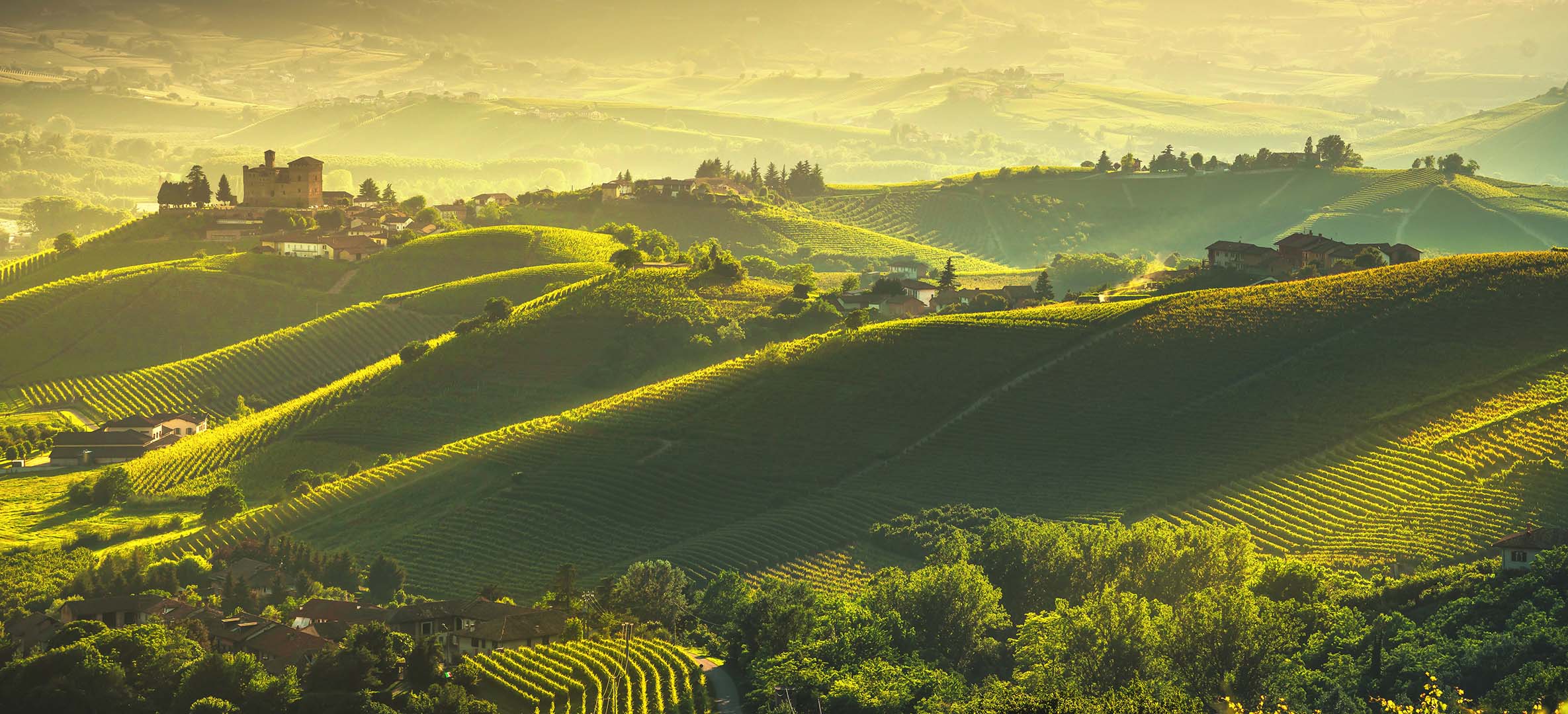 Langhe vineyards sunset panorama, Grinzane Covour, Piedmont, Ita