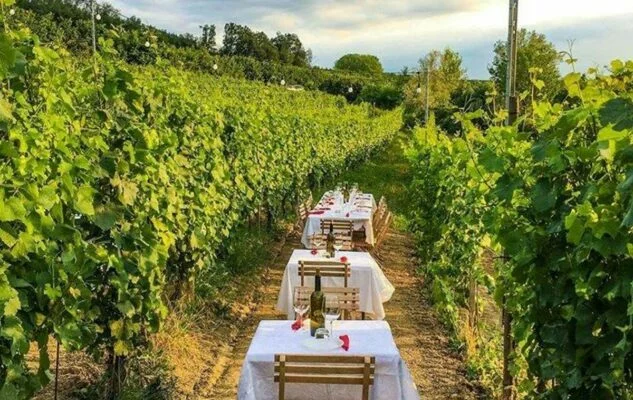 Relax in collina
