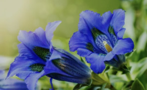 Speciale offerta di Ferragosto