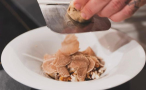 Speciale Fiera del Tartufo